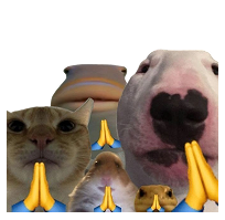 Meme 3