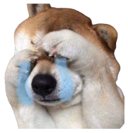 Meme 4